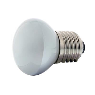 Incandescent Bulb, 40W, R14